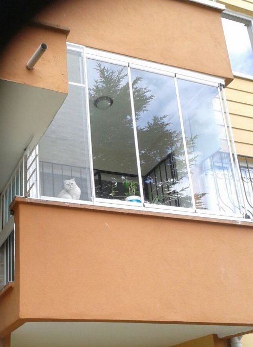 Cam Balkon Sinekliği