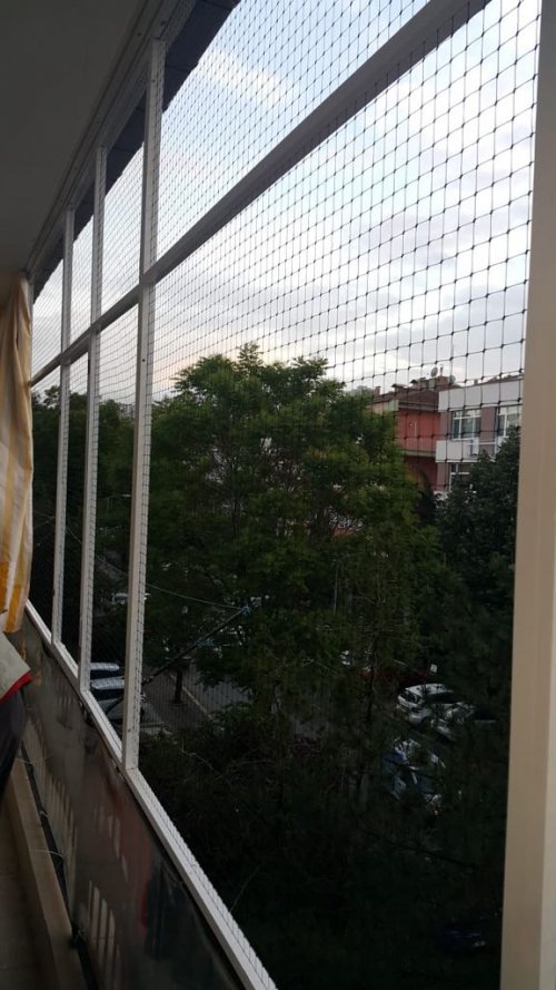 Kapı Kedi Sinekliği